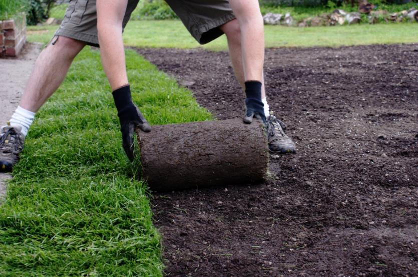 Fairview Farm Nursery: Service Image-1 Fairview Farm Nursery: Service Image-1