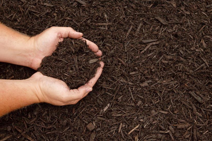 Fairview Farm Nursery: Service Image-2 Fairview Farm Nursery: Service Image-2