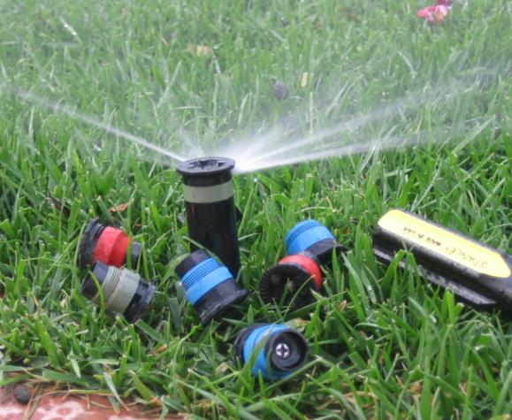 Fairview Farm Nursery: Service Image-3 Fairview Farm Nursery: Service Image-3