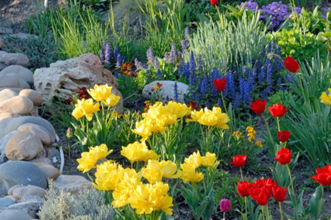 Fairview Farm Nursery: Service Image-0 Fairview Farm Nursery: Service Image-0